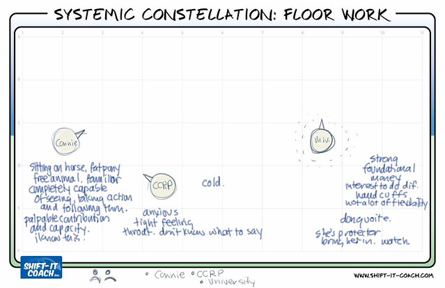 Systemic Constellation Floor Work 2
