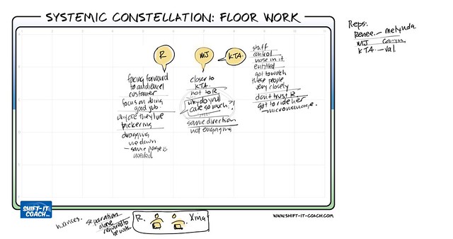 Organizational Constellation on Bickering Team