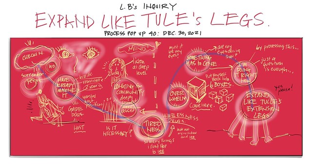 VISUAL COACHING: Meeting Blindness, Assisted Suicide and Future Selves - 40A