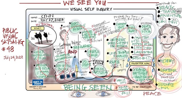 Public Visual Satsang #48B: Flow and See