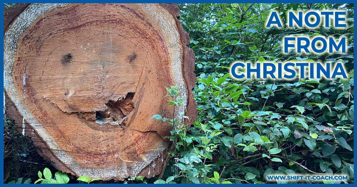 A Note From Christina, August 2025 Banner has a whimsical fallen cross-section of a log with a smiling face. Surrounded by bright green leaves.