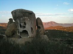 Visual Coaching Demo