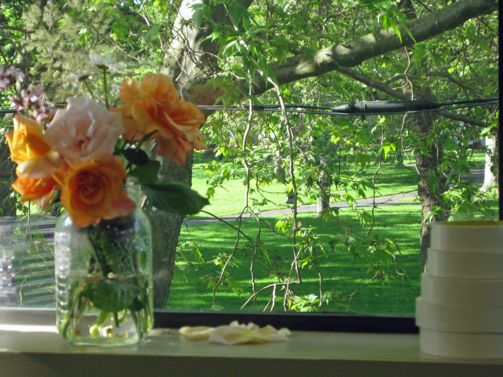 Roses From Alexa's Garden