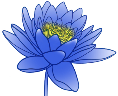 line art blue lotus