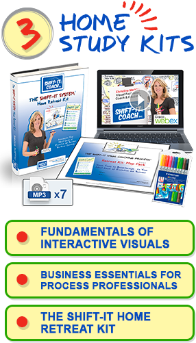 Biz Basics For Process Professionals Home Study Kit